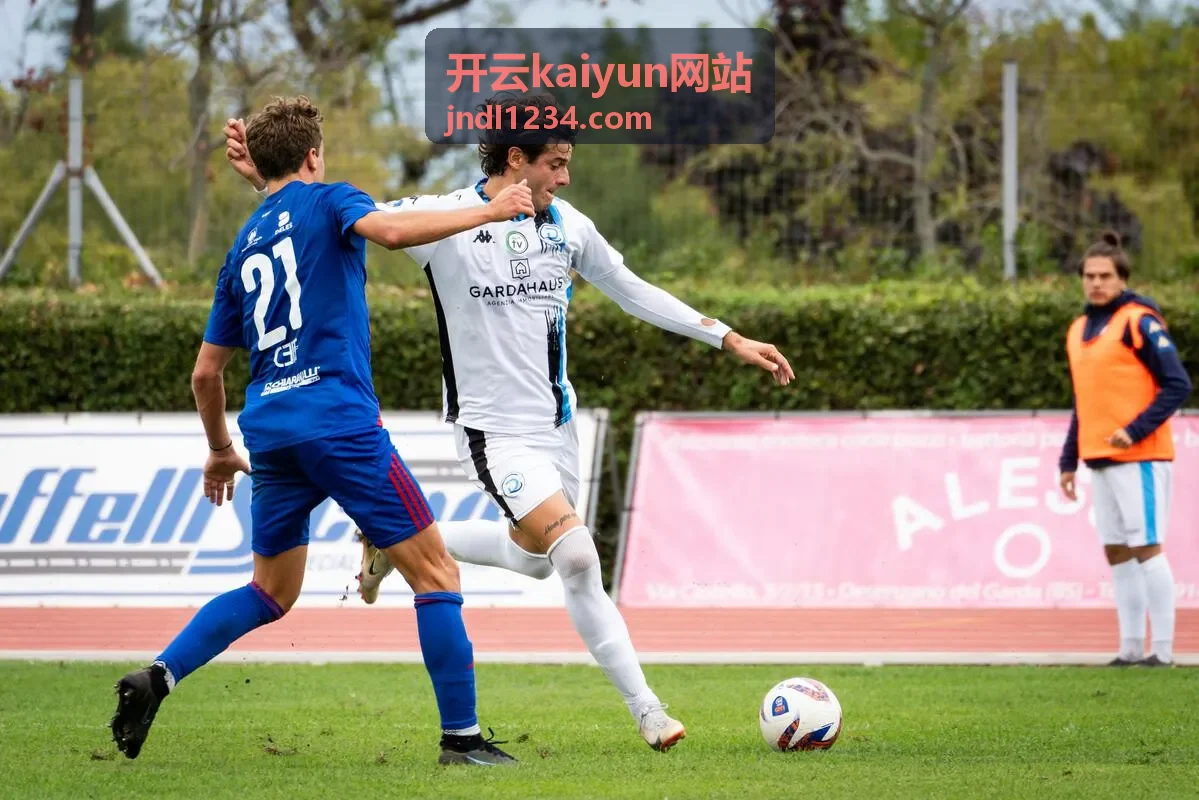 开云kaiyun网站平台说明中的入口形式示意
