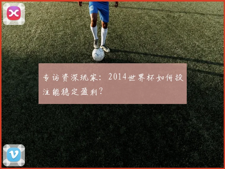 专访资深玩家：2014世界杯如何投注能稳定盈利？