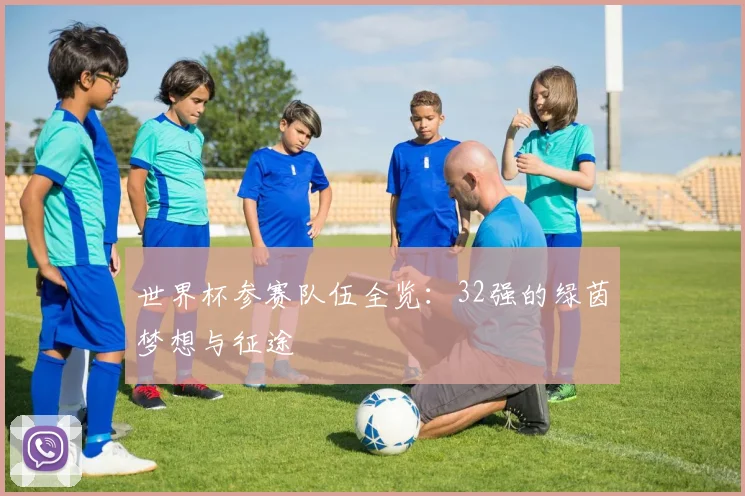 世界杯参赛队伍全览：32强的绿茵梦想与征途