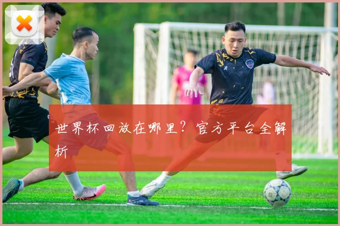 世界杯回放在哪里？官方平台全解析