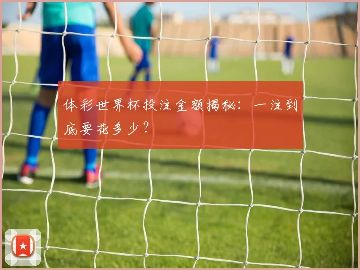 体彩世界杯投注金额揭秘：一注到底要花多少？