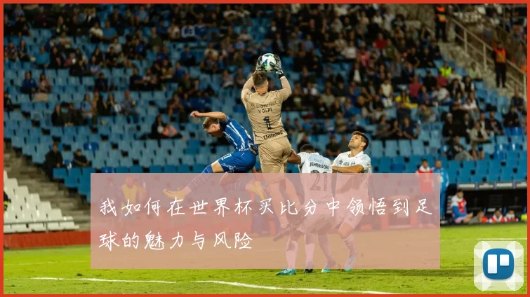 我如何在世界杯买比分中领悟到足球的魅力与风险