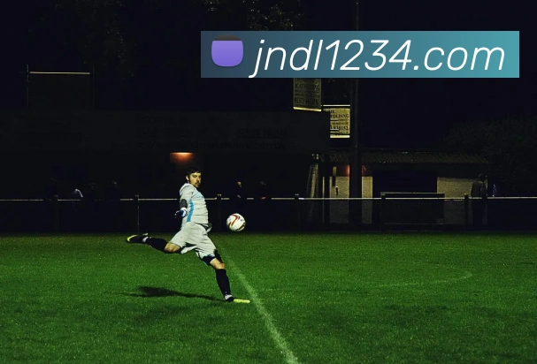 未来规划